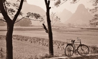 Yangshuo<br /> Rice Stooks with Bicycle